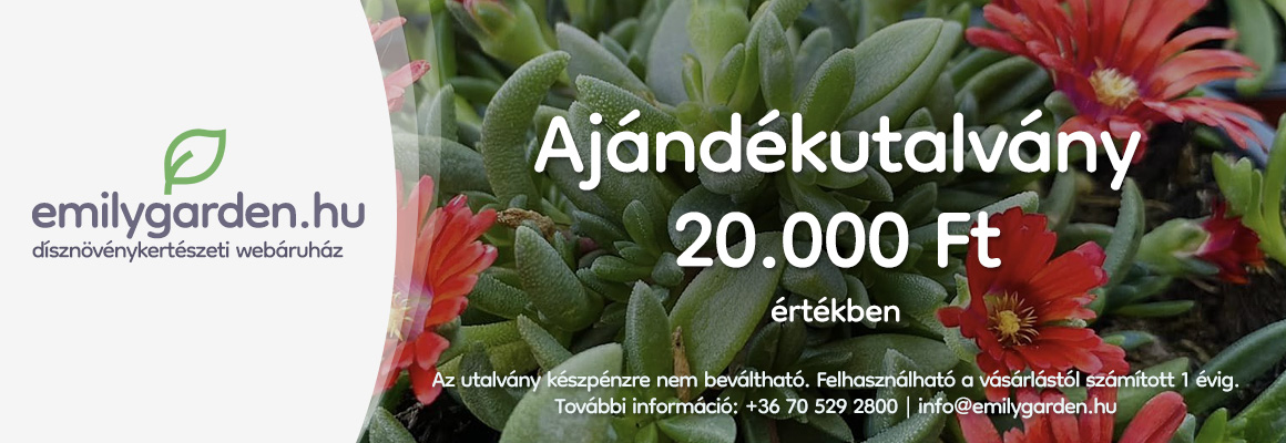 Ajándékutalvány