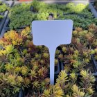 Leszúrható jelölőtáblák 15cm 2