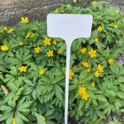 Leszúrható jelölőtáblák 29cm 1