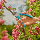 Gardena EasyCut metszőolló 3