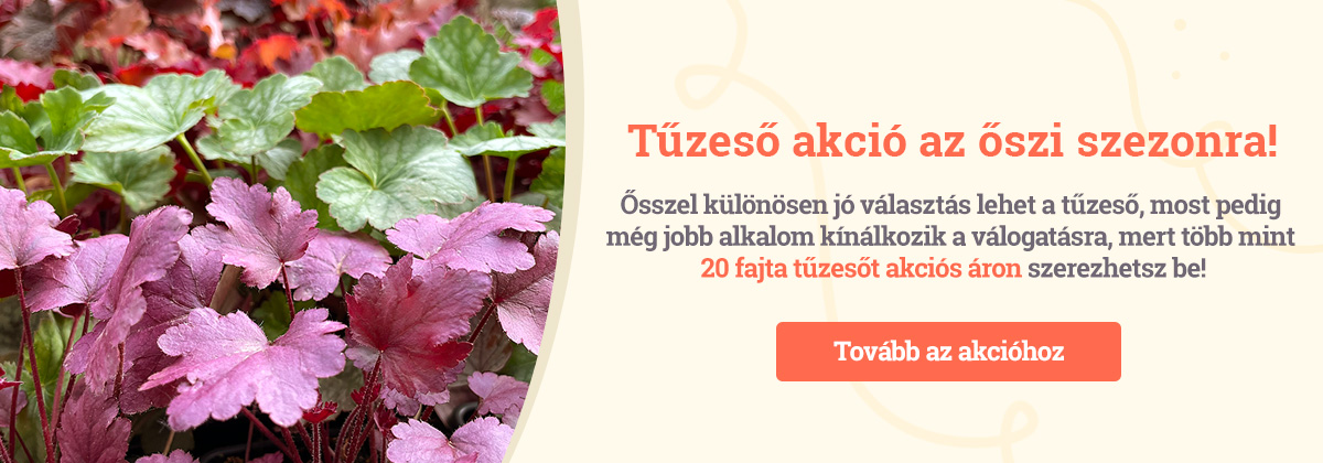 Tűzeső akció az őszi szezonra!